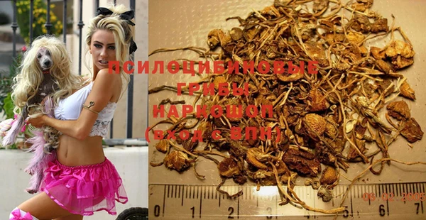кокаин премиум Белокуриха